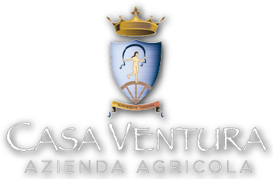 Casa Ventura